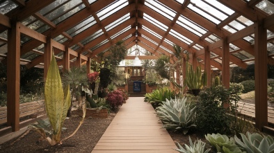 luthy botanical garden